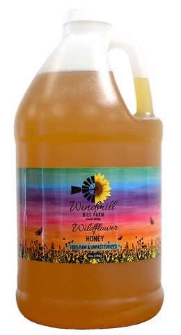 6lb Liquid Honey Jug