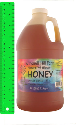 6 lb Jug of wildflower honey